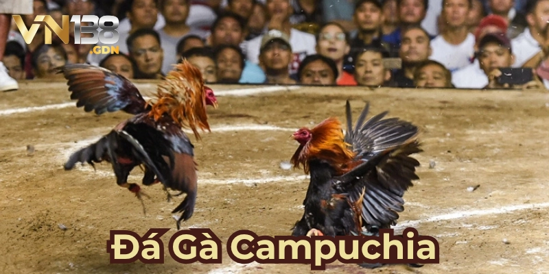 Sơ lược thông tin về game đá gà Campuchia