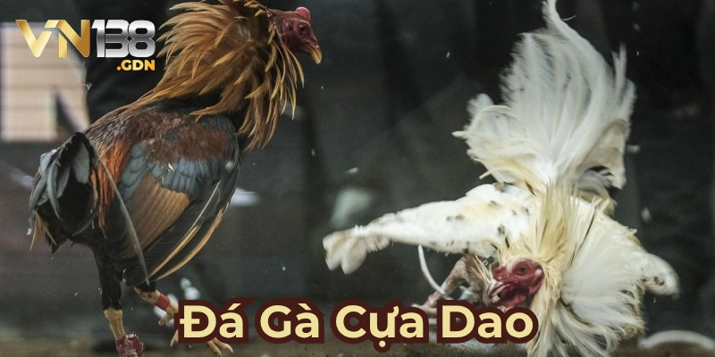 Sơ lược về đá gà cựa dao